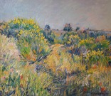 Ginestre a Montalto