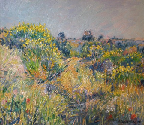 Ginestre a Montalto